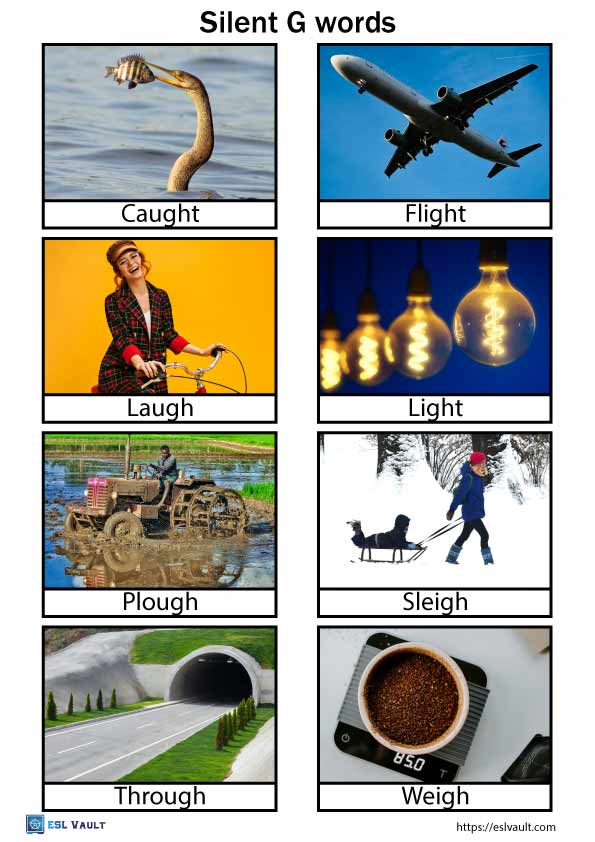 Silent G Words List And Pictures Pdf Esl Vault