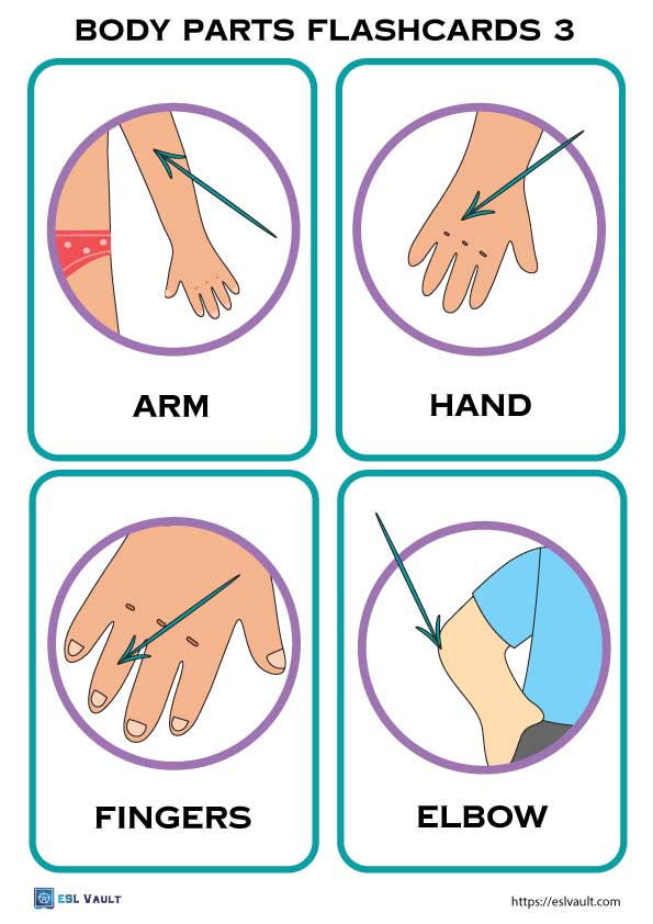 Free Body Parts Flashcards Esl Vault