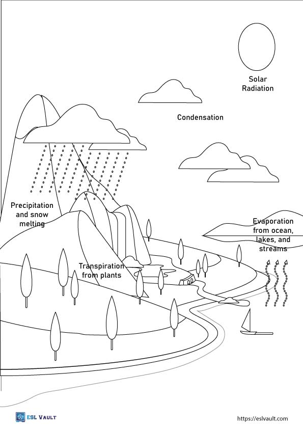 12 Free Water Cycle Coloring Pages And Diagrams ESL Vault