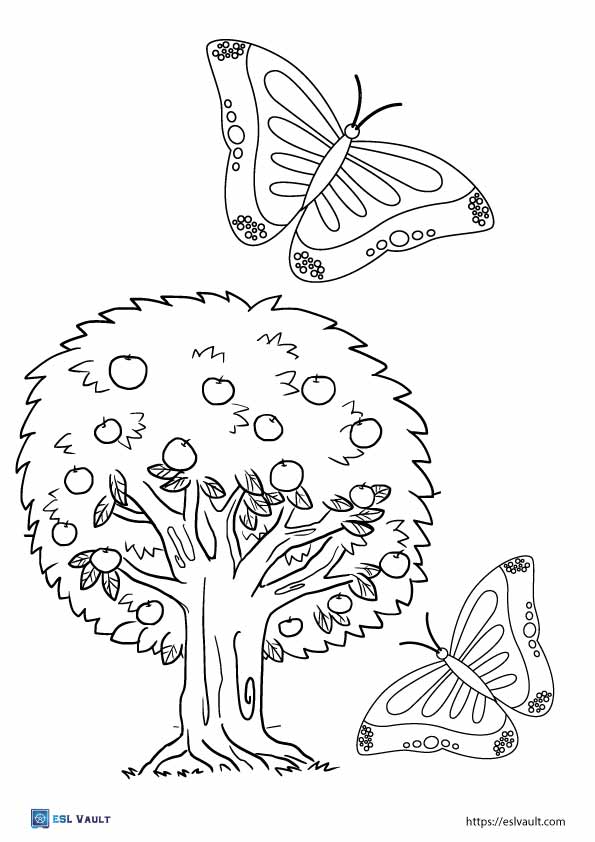 apple tree and butterfly coloring page printable