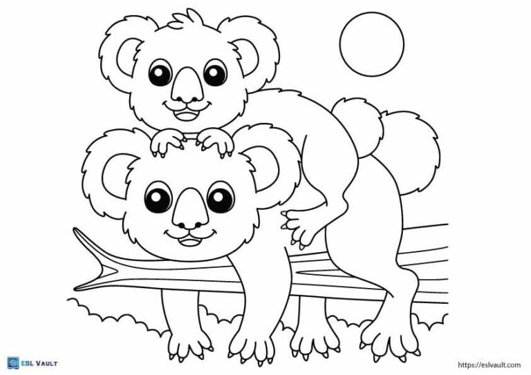 australian animals coloring pages koalas