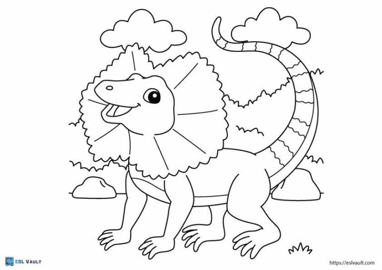 australian animals coloring pages lizard