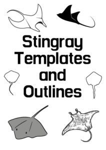 printable stingray templates and outlines