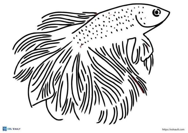 simple betta fish coloring page printable