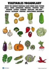 free vegetable vocabilary worksheet for ESL
