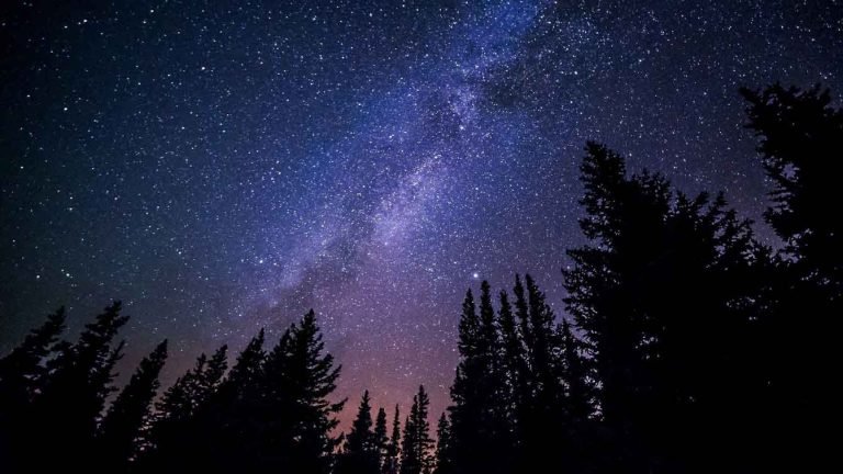 looking up at space from a forest a night