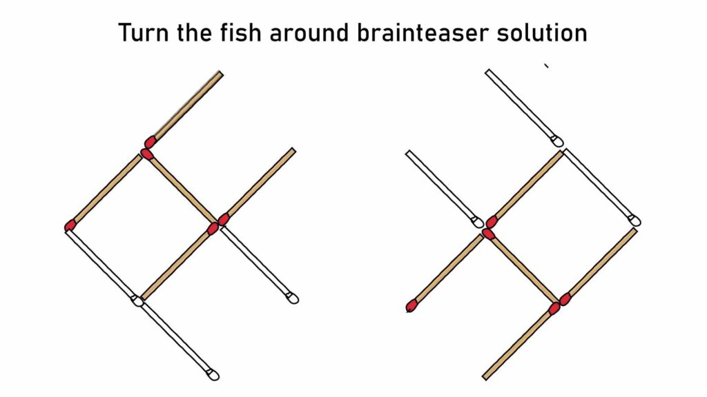 Turn the fish around brain teaser solution