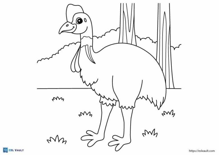 australian animals coloring pages cassowary