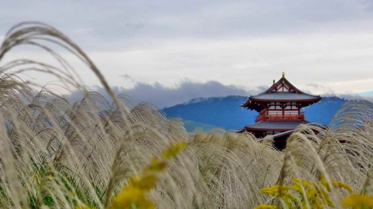 traditional japanese building in the countryside