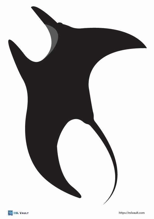 free stingray template pdf