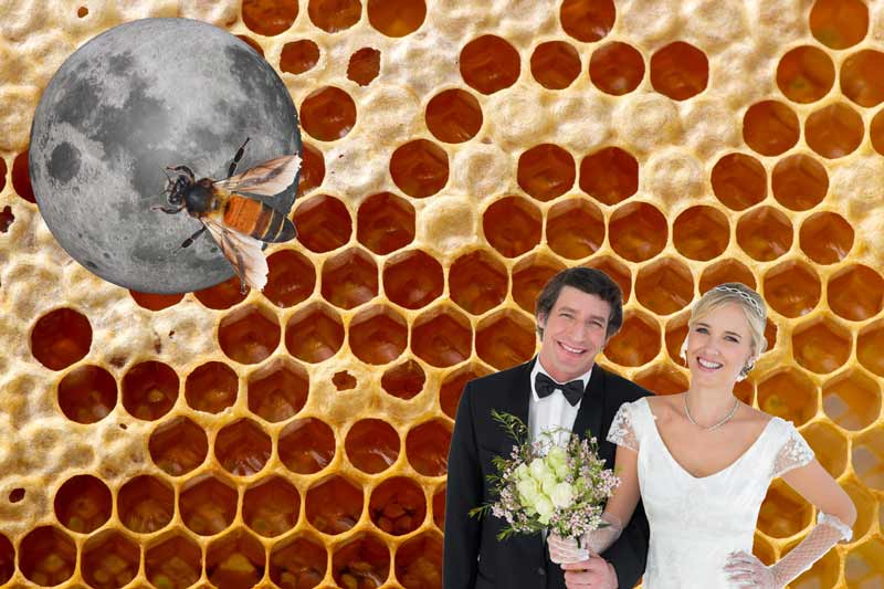 honeymoon expression