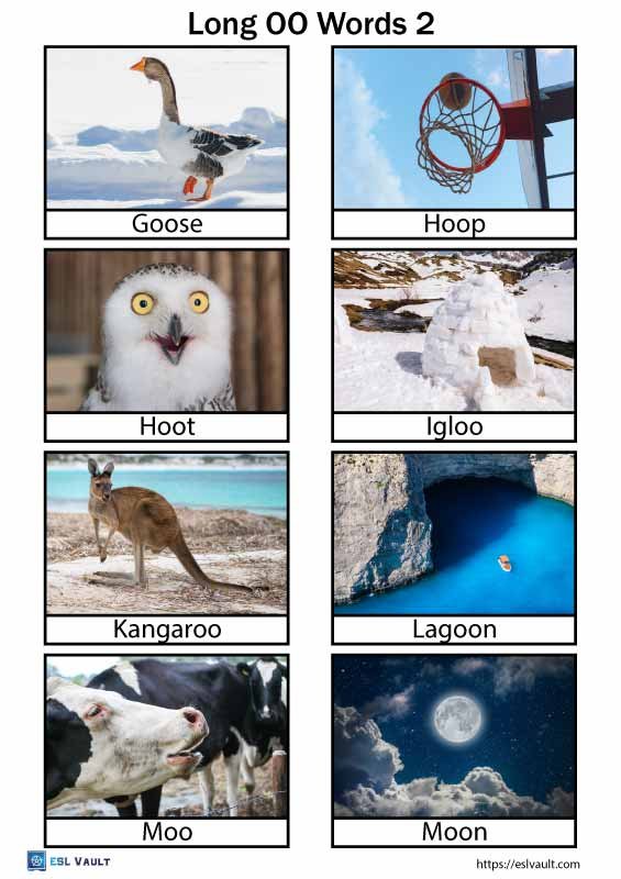 long oo words with pictures 2