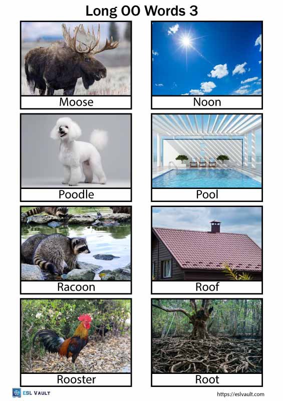 long oo words with pictures 3