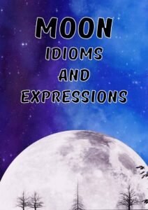 moon idioms and expressions