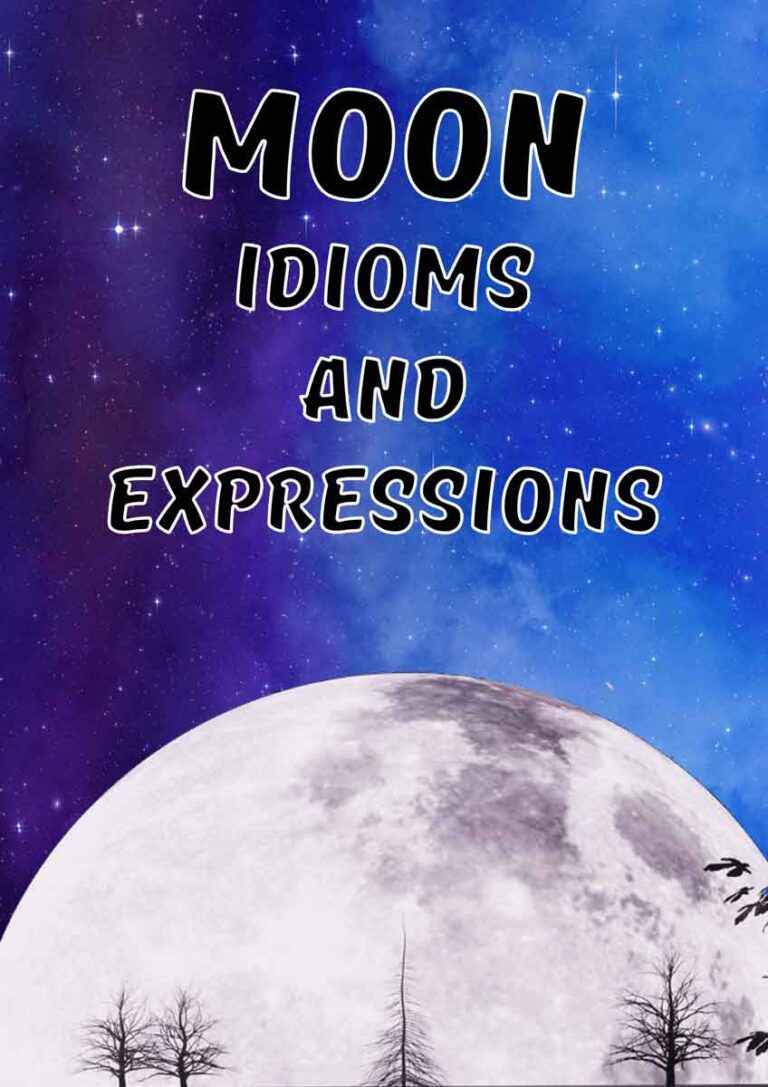 27 Fun moon idioms and expressions - ESL Vault