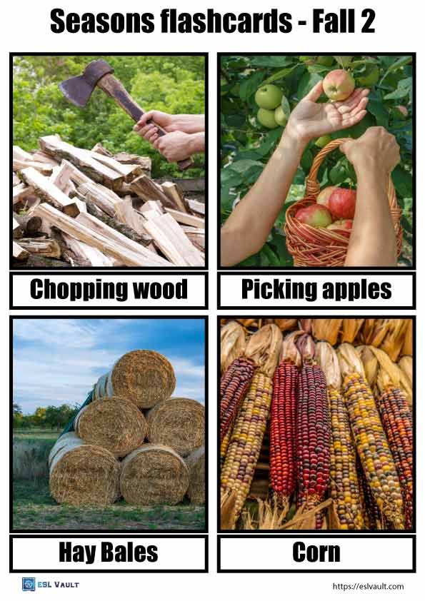 free printable seasons flashcards autumn