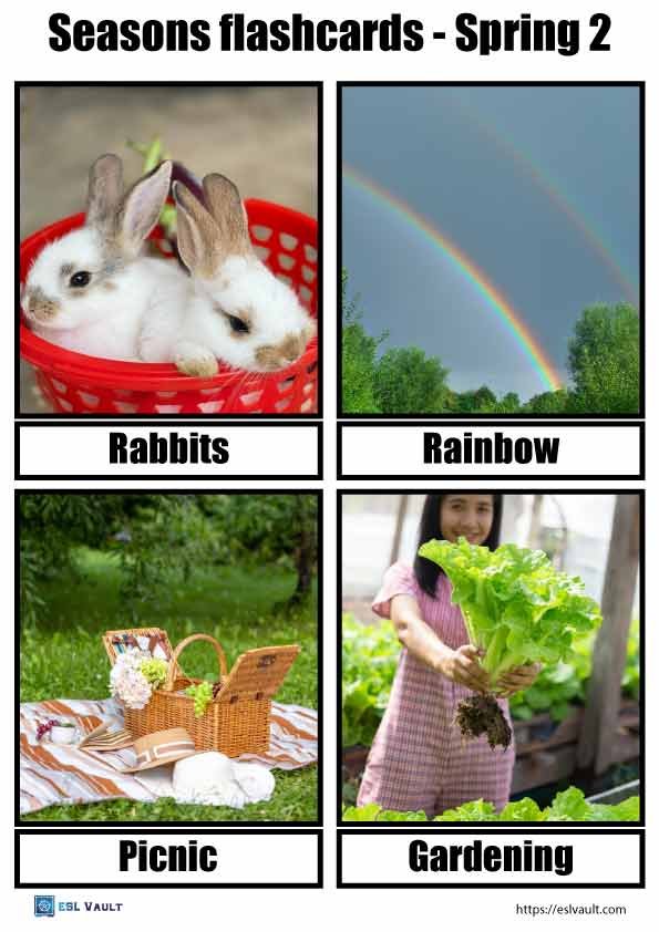 free seasons flashcards spring 2