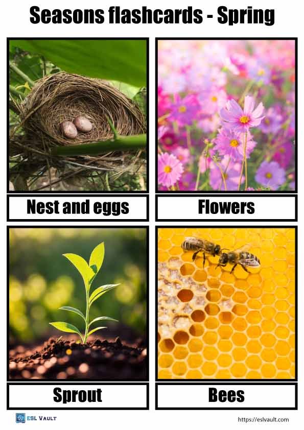 seasons flashcards spring