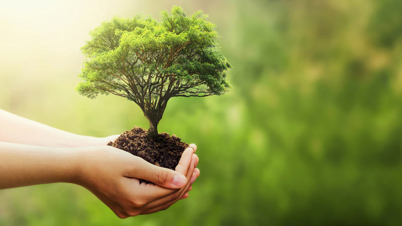 environmental protection concept image