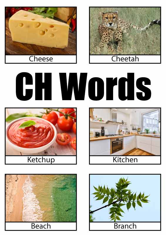 Free CH words lists with 48 picture cards (PDF) - ESL Vault