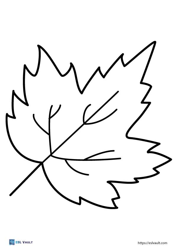 large maple leaf template 2