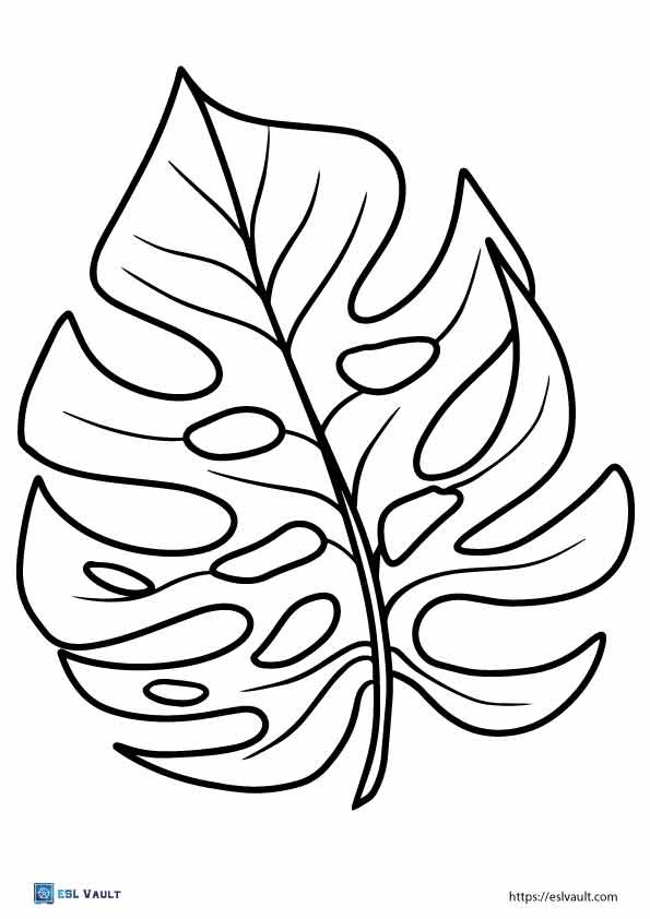 monstera leaf template