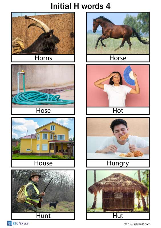 Free initial H words list and 32 pictures (PDF) - ESL Vault