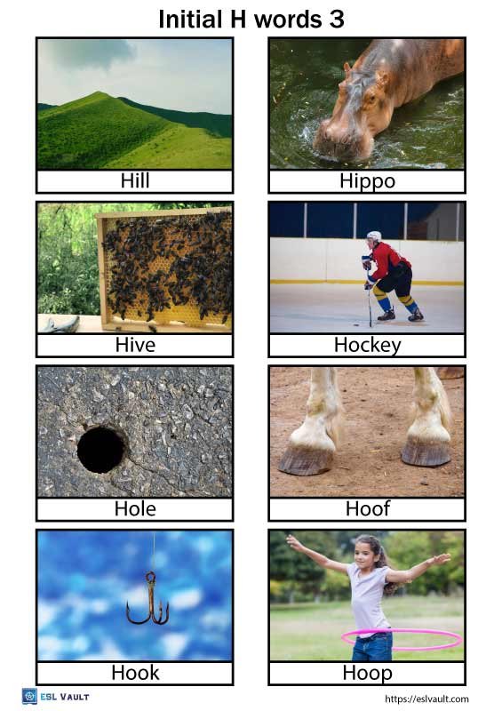 initial h words pictures 3
