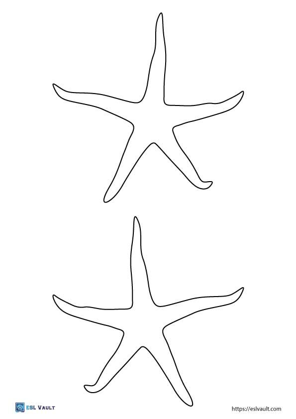 outline starfish template