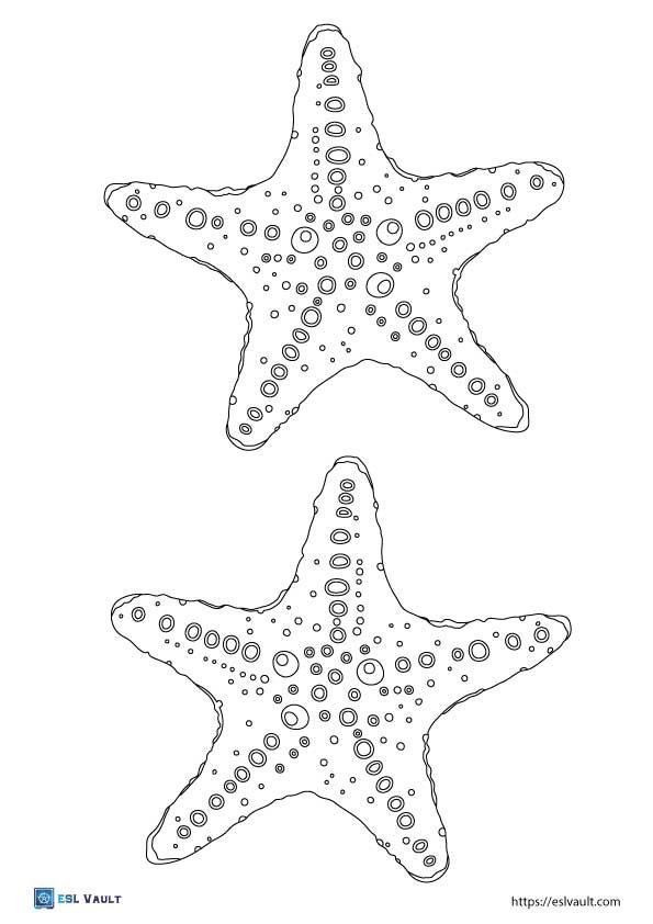 printable starfish to cut out