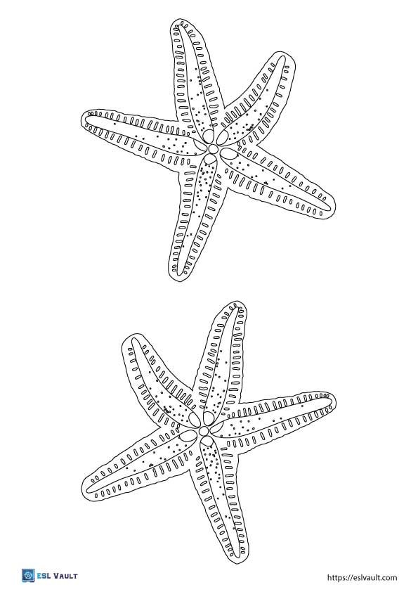 starfish template to print