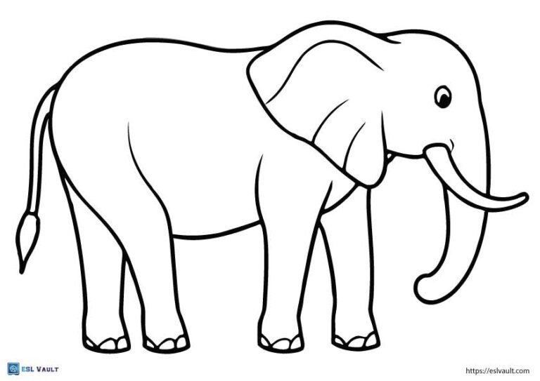 cute simple elephant outline