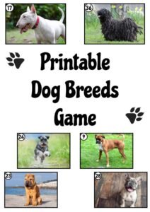 free printable dog breeds game