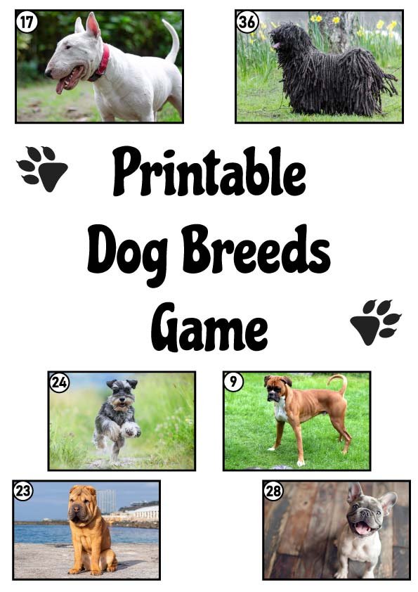 free printable dog breeds game