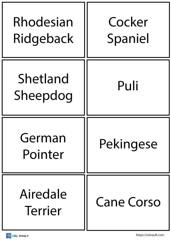 printable dog breeds game pdf 10