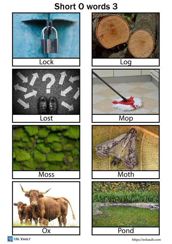 short o words with pictures 3