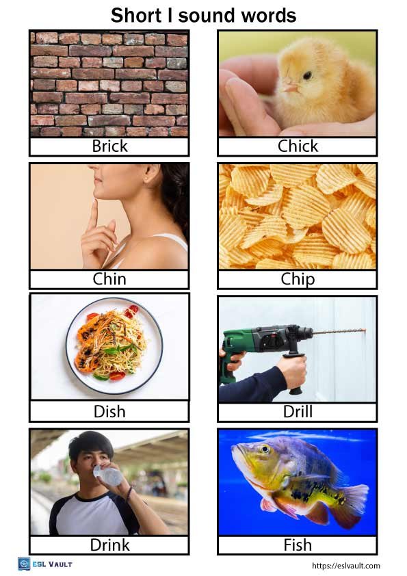 short i sound words with pictures