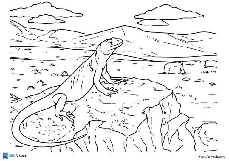 basking lizard coloring page