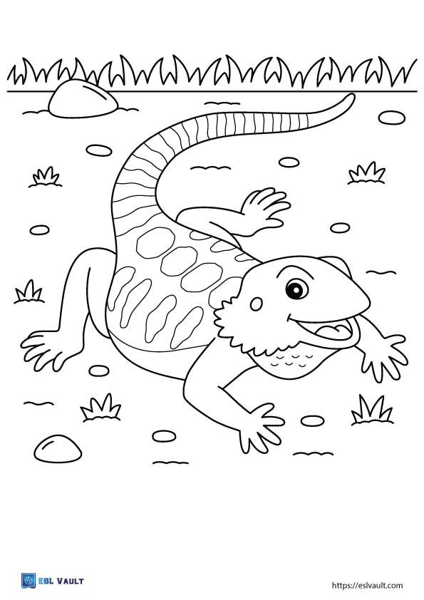 bearded dragon lizard coloring page
