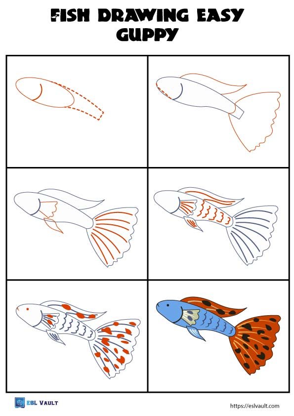 easy fish drawing guppy step by step