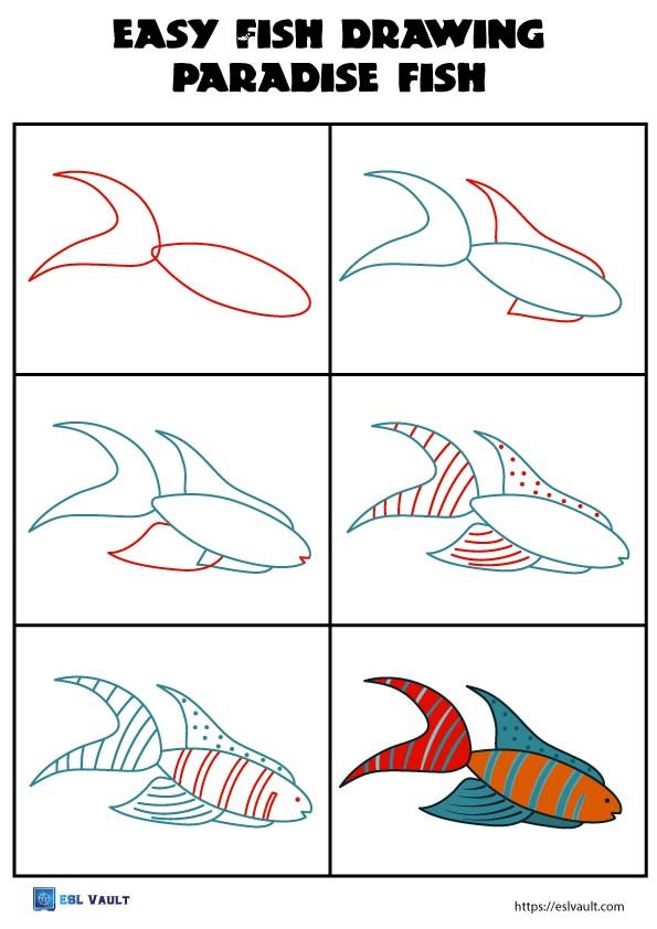 easy step by step fish drawing paradise fish