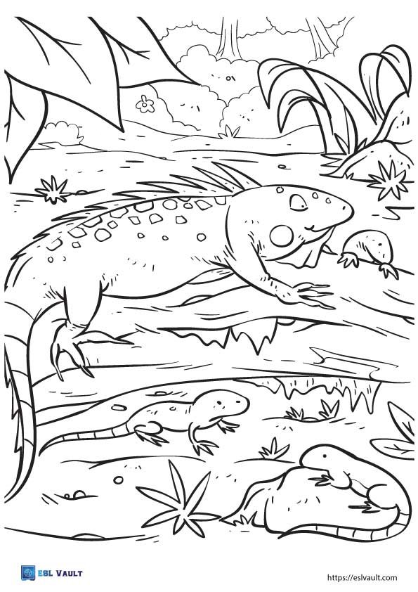 forest lizard coloring page