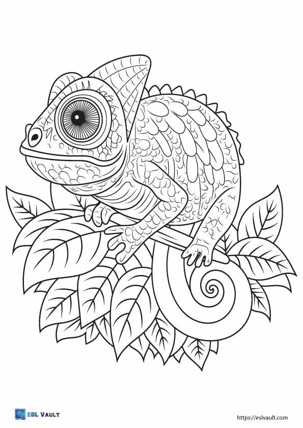 free printable chameleon lizard coloring sheet
