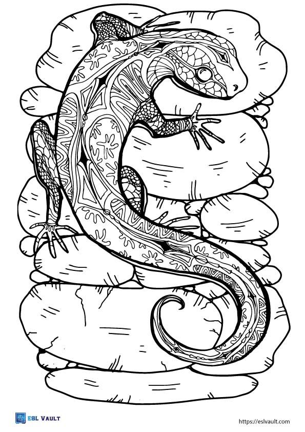 free printable lizard coloring page pdf