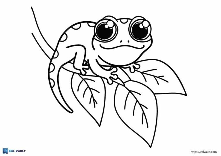gecko lizard coloring page