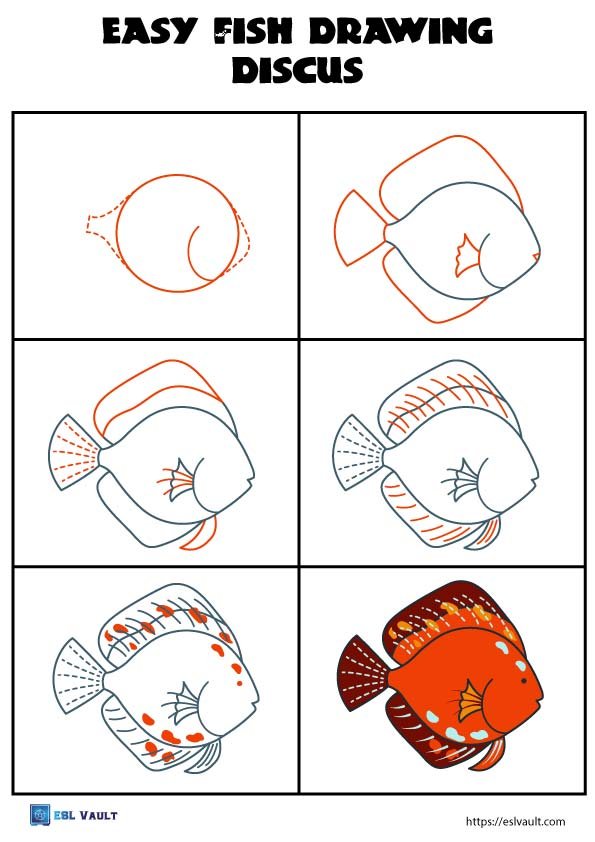 how to draw a fish realistic discus