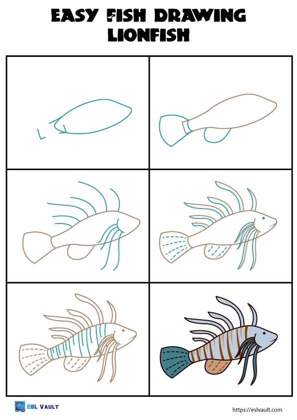 how to draw a simple lionfish