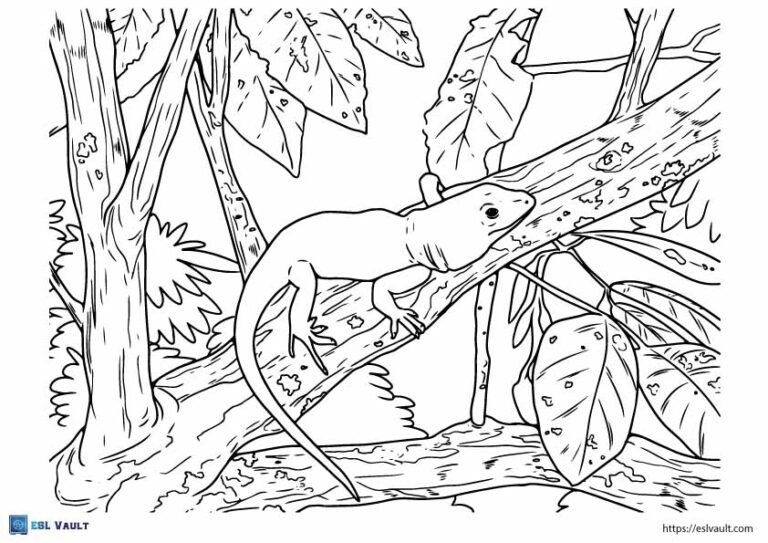 jungle lizard coloring page