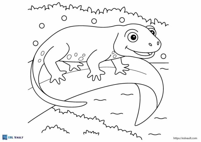newt lizard coloring page