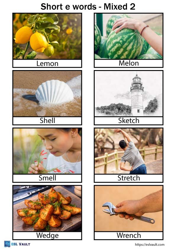 short e words with pictures mixed 2